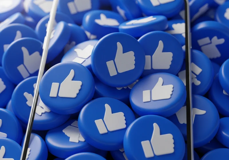 FNT Management Mission